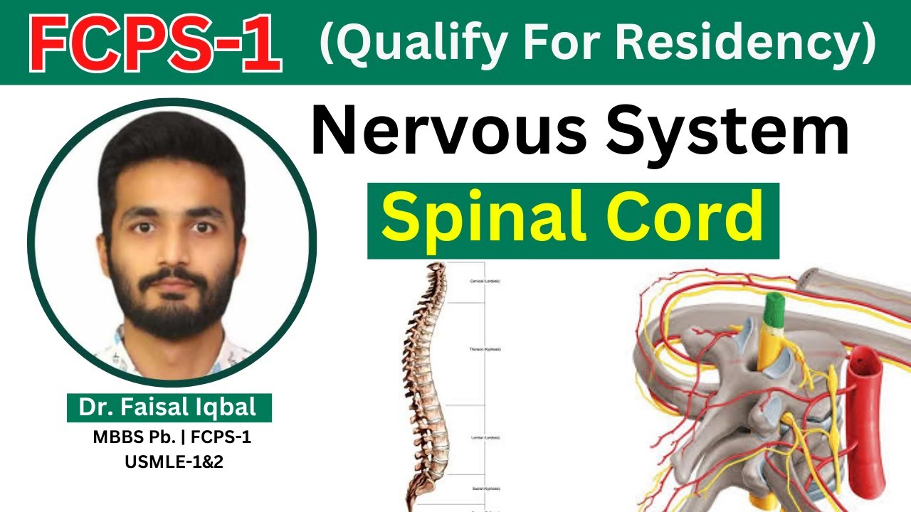 FCPS-1 | Nervous System | Spinal Cord | Anatomy of Spinal Tracks, Blood Supply