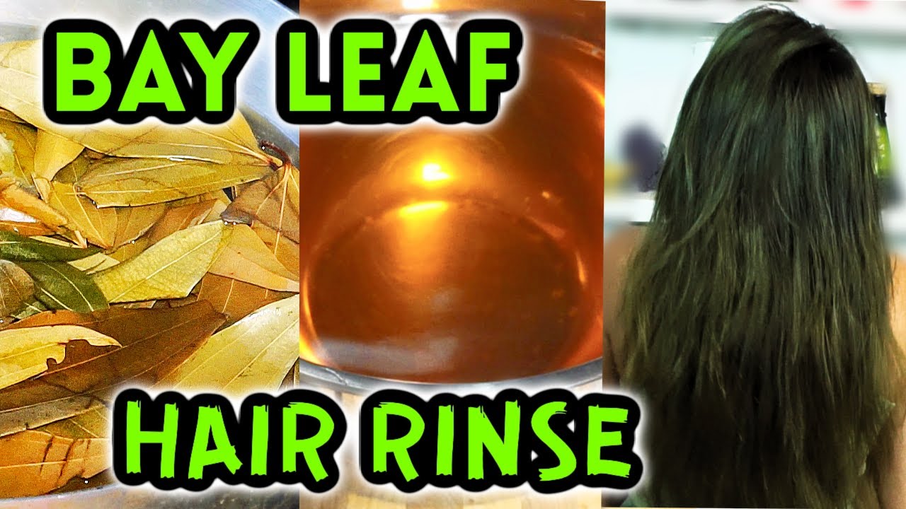 🌿 BAY LEAF HAIR RINSE 🔮 HAIR GROWTH & SHINE, LUCK, PROTECTION & MORE 🌿 -  YouTube