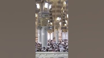 صوت ندي وترتيل خاشع من سورة النبأ، للشيخ: صلاح البدير حفظه الله.