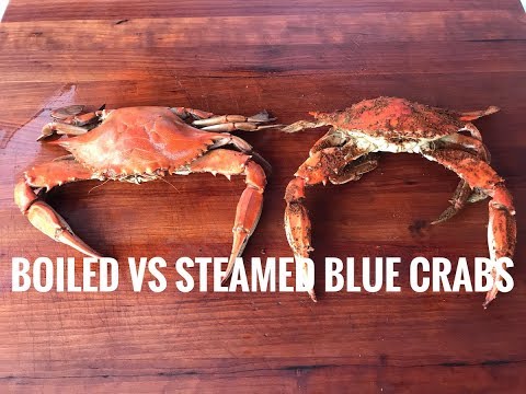 Boiled VS Steamed Blue Crabs | Head To Head Comparison