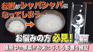 アミラーゼがお粥に与える影響 離水の程度の比較【ソフティアＵ】