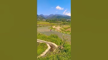 Panas terik . suasana siang hari di lahan pertanian. #soundalam #perkampunganindonesia #sawah #air