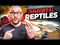 5 reptiles that live forever