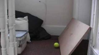 Tennis Ball Bounce Reference
