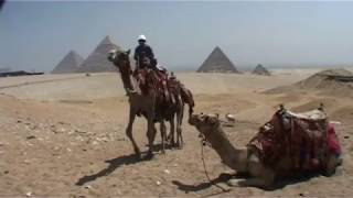 Cairo Airport screenshot 4