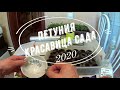 Петуния - красавица сада