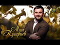 Красивая Чеченская Песня! Муса Кусариев  - Королева