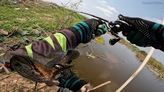 Best Metal Vibration Snakehead Fishing | បបក់ត្រីជាមួយនុយដែក | ត្រីរ៉ស់ធំៗខាំកាឌី | ខ្នាតតឹងដៃ