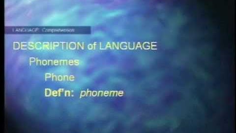 PSYC 3350 LECTURE 16