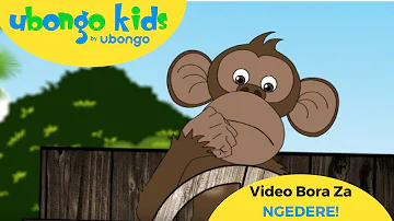 Ngedere Mjanja! | Video Bora za Ubongo Kids | Katuni za Kiswahili