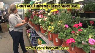 Pete's Hardware #2- April of 2011
