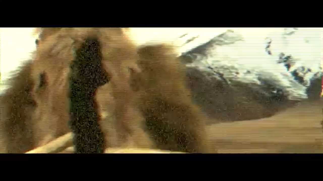 Смотреть «Silver Mammoth - Pride Price» на YouTube Смотреть «Silver Mammoth - Pride Price» на YouTube