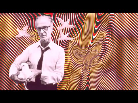 Видео: BF Skinner бол бихевиоризмын эцэг мөн үү?