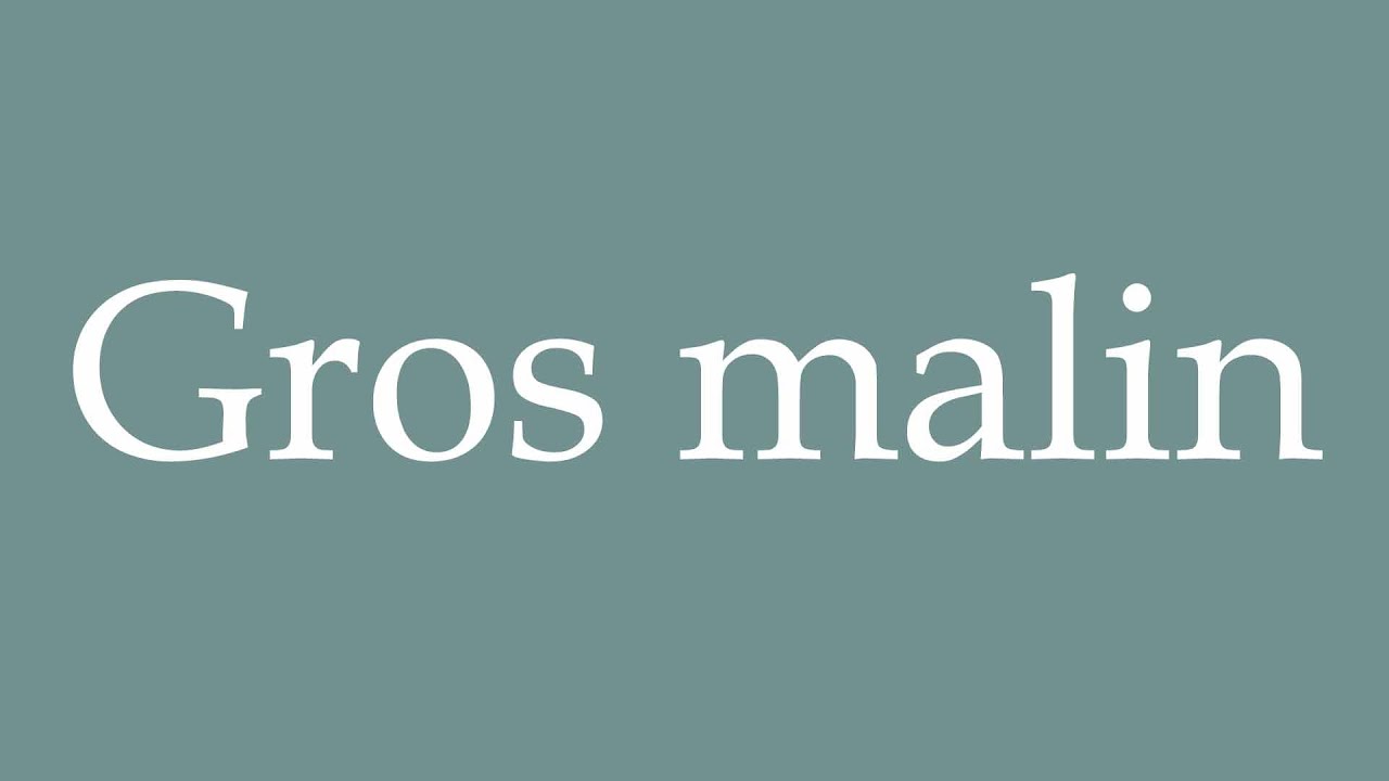 How to Pronounce ''Gros malin'' (Wise guy) Correctly in French YouTube