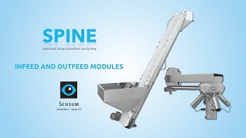 Sensum | SPINE - Infeed and outfeed modules for automatic product transfer