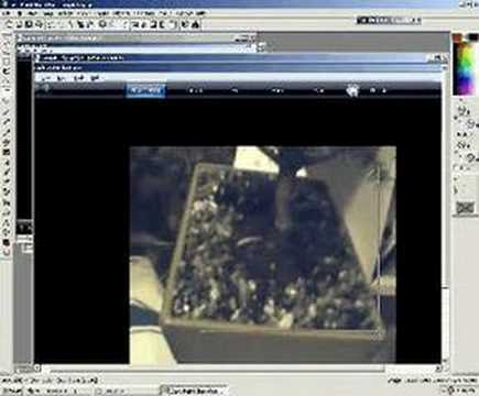 3D Model Creation Series Bonsai Tree (Part 4)