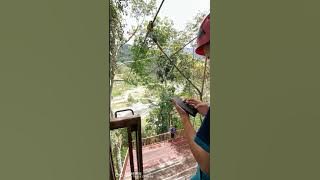 Bujang suai
