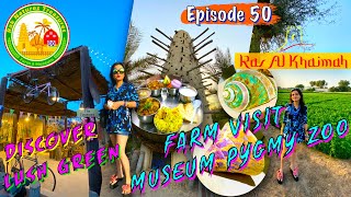 Farm Visit in RAK Natures Treasures Ras Al Khaimah Zoo & Museum - Things to do in Summer Dubai Vlog