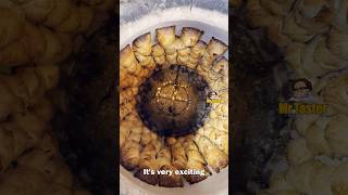 Uzbek Samsa, Combination Of Meat And Fat Inside The Dough In Samarkand