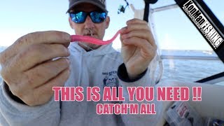 WEAKFISH SEA TROUT MADNESS UNDERWATER ACTION