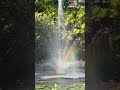 Rainbow forming over the water fountain. #nature #naturelover #rainbow #gardensbythebay
