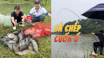Siêu cuốn ổ cá chép hồ câu lục #chungnguyenfishing