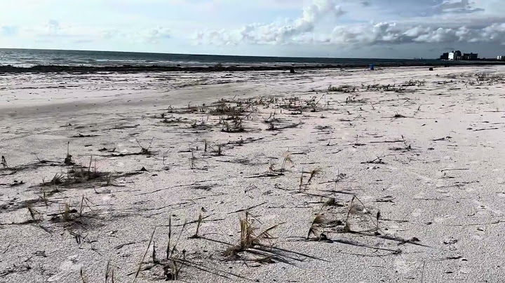 St. Pete Beach After Hurricane Helene: Shocking Footage of Endless Debris