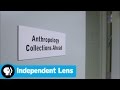 Cultural Artifacts and Preservation Practices