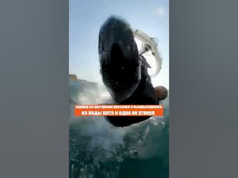Такое впервые! На скорости. Едва выжил: австралийский серфер столкнулся ...