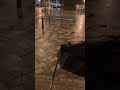 傘が逝っちゃった...
