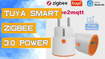 Tuya Smart Zigbee 3.0 Power Plug 16A EU Outlet 3680W Meter Remote Control Work With Zigbee2mqttt and