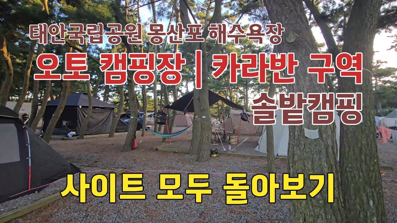 태안국립공원 몽산포해수욕장 자동차(오토)캠핑장 카라반구역 솔밭사이트 둘러보기 | 캠핑하기좋은계절 10월
