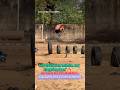 boys long jump practice Surya physical academy Bilaspur like comment and subscribe 👍🪖