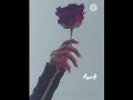 تجمدت ابتسامتي وبقت ع وجهي ستوري تركي