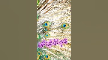 سورة مريم و..كا.؛نك تسمعها لأو.ل مر.ة💚💕،؛❤️💝؛،💟🌻💮بصوت الشيخ حمزة مدبو.ح 🧡💜🌺،.❣️❤️🏵️..🌷