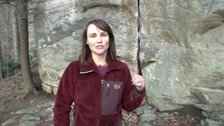 Walk the Crag with a Local - Junkyard Crag at the New River Gorge