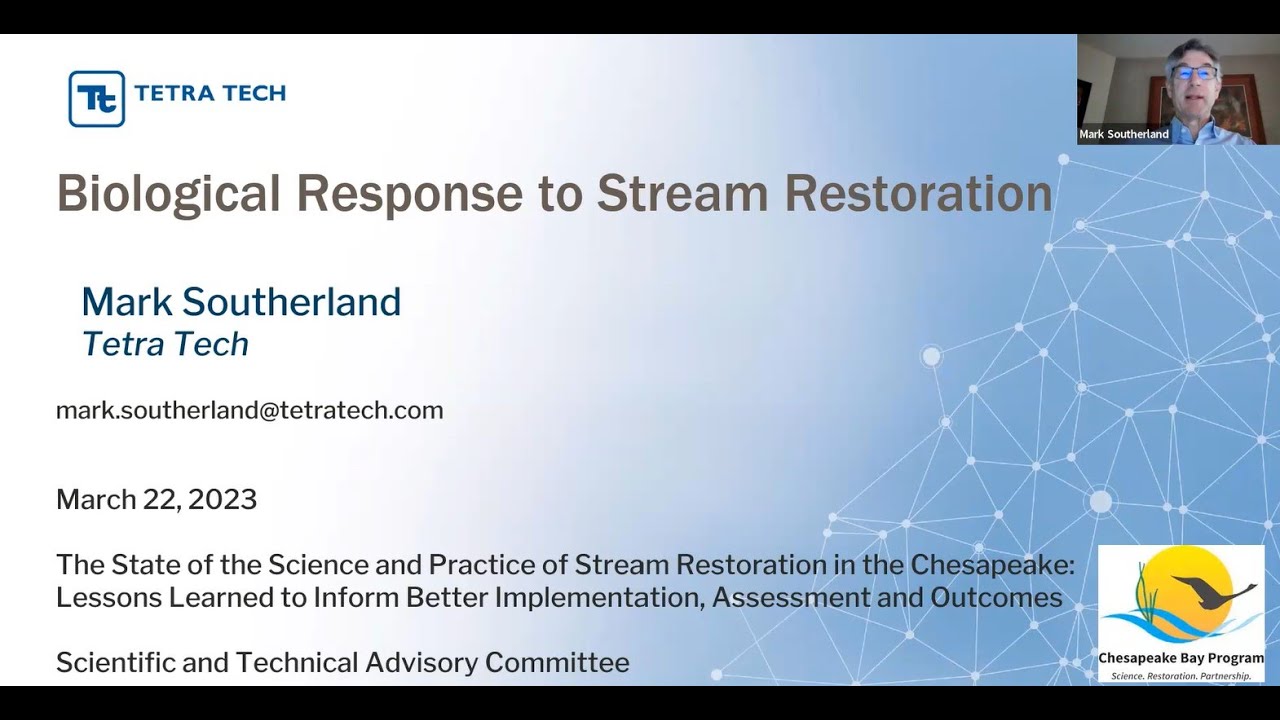 Biological Response to Stream Restoration YouTube