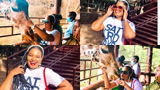 THINGS TO DO IN NAIROBI,KENYA🇰🇪||GIRAFFE CENTRE NAIROBI VLOG||AFRICA screenshot 3