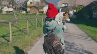 Canine Capers  Unleashing Adventures wit 2024 03 28 by PetPalsTV453 38 views 1 month ago 2 minutes, 37 seconds
