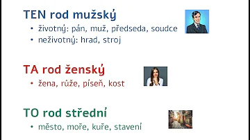 Jak se projevuje životnost podstatných jmen?