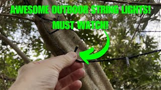 1000 Led Christmas String Lights Review The Best Outdoor Fairy Lights For Trees & Gardens?