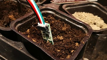 Adafruit Stemma soil sensor bug (video 1)