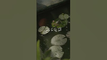 سورة يونس 50-51 | عبدالرحمن مسعد [قراءة 2023]