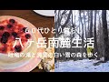 【八ヶ岳南麓60代一人暮らし】#45 人生の失敗から八ヶ岳へ移住した話/冬の吐竜の滝/清里・清泉寮の静かな雪残るの森/いつもの猫たち/移住暮らし/田舎暮らし/シニアライフ
