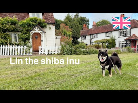 【イギリスの小さな村】ボンファイヤで有名な村に昼間に行ってみた