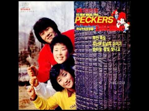 딱다구리 앙상블  -  밤 하늘 별빛 빛나고 (1983) 리메이크