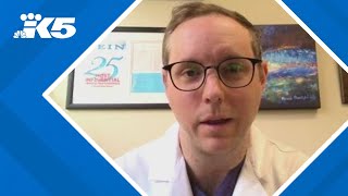 UW doctor shares tips on preventing blood clots while flying