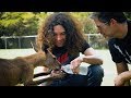 Down Under - NSP