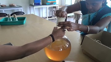 Trichoderma production - Yeast Molasses Broth