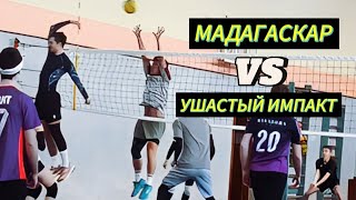 Volleyball. Tournament. 31.03.24. Мадагаскар/Ушастый импакт (1 игра)